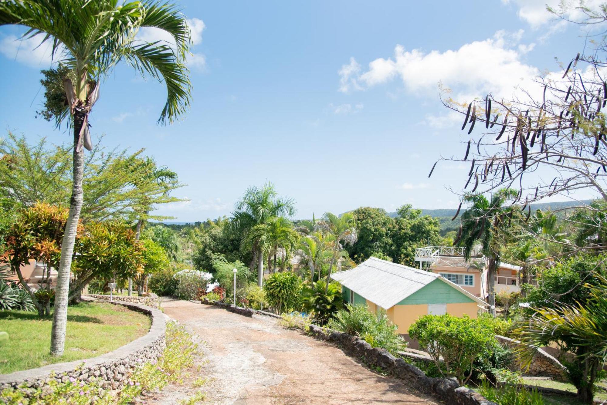 Las Mariposas Las Galeras Bagian luar foto