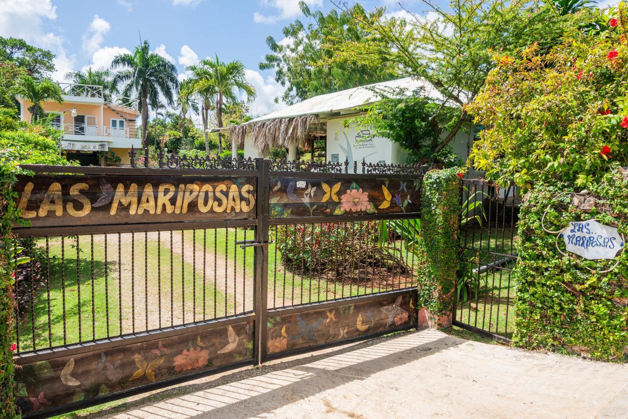 Las Mariposas Las Galeras Bagian luar foto