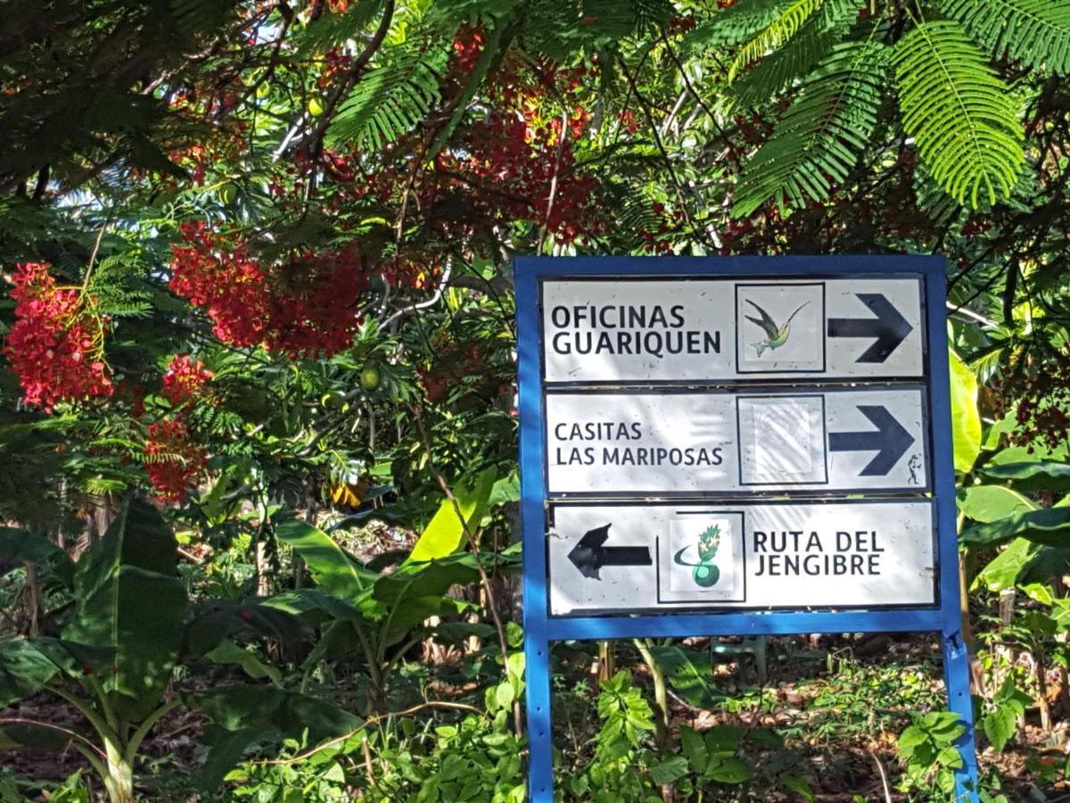 Las Mariposas Las Galeras Bagian luar foto